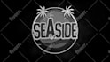 design unique custom intro logo animation