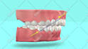 create 3d animation video 3d commercial animation 3d animated music video 3d gif