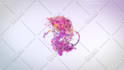 create colorful splash logo animation within 24 hours
