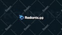 do custom animated twitch and esports overlays, logo, panels, alerts