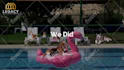 create this funny video ad of dogs chilling at the pool