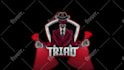 animated twitch stinger, custom transition, animated overlay