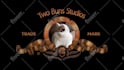 make a metro goldwyn mayer intro with your pet
