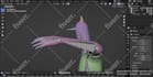 do 3d character rigging professionally in blender