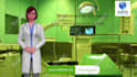 design custom 3d avatar explainer, whiteboard spokesperson videos
