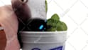 produce e commerce and amazon product videos