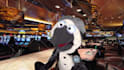have paulie the penguin crooner create a custom puppet video