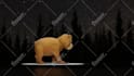 create realistic 3d animals and animation