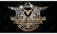 silver and gold diamond glitter logo intro or animation