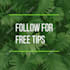 create professional short promo video ad for facebook instagram