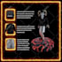 create a 3d animation promo for your clothing brand