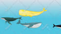 create 2d design and animate character for game
