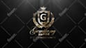create luxury gold silver logo intro