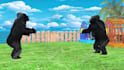 create 3d kids cartoon video and 3d kids rhymes