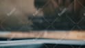 edit a video with dope transitions and effects