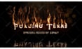 create 10 burning fire logo intro