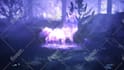make spirit wolf logo intro video in full hd