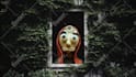 create a professional claymation stop motion animation