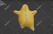 do 3d modeling and rigging for animation and gaming