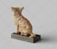 3d model your pet for 3d print