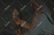 enhance your video with cleanups, retouching, and cinematic color grading