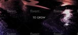 create an animated lyric video