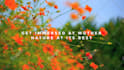 create copyright free HD relaxing meditation videos