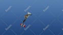 do skydiving with your flag