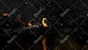 cinematic 3d animation game trailers using unreal engine, and blender