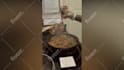 edit your cooking videos for youtube professionally