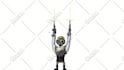 make you an eye catching, animated gif