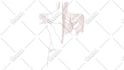 make medical illustrations, anatomy diagrams and presentations