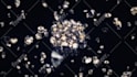 diaomond glitter logo video intro animation