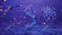 create a 3d visual loop animation