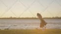 compose an animated music visualizer with lyrics for your song