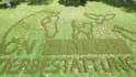 do cinematic eco friendly nature 3d rendering animation intro video from logo