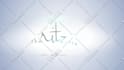 do clean custom logo animations