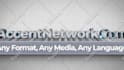 edit logo stings animation from envato elements on after effects