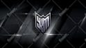 create animated stinger transition for twitch youtube gaming