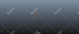 do 3d character animation and rendering