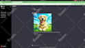 develop chrome extensions, build automation system