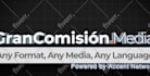 edit logo stings animation from envato elements on after effects