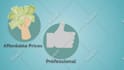 create 2d animations and 2d animated explainer videos