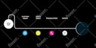 do an elegant lottie animation for your logo