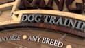do 3d logo animation with woodwork and carpentry elements