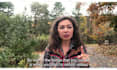 translate, transcribe, subtitle english srt to your video