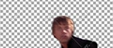 do high quality rotoscoping, keying and object removal