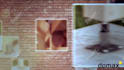 create 3d picture gallery slideshow