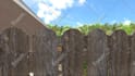 design pool, backyard, patio, landscape design