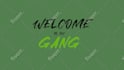 craft twitch overlay, twitch logo, animated twitch stream alerts, panels screens